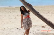 Recent Wallpapers Neelam Upadhyaya Tamil Actress 3695