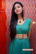 South Actress Neelam Upadhyaya Recent Album 2725