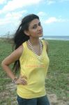 Tamil Actress Neelam 3410