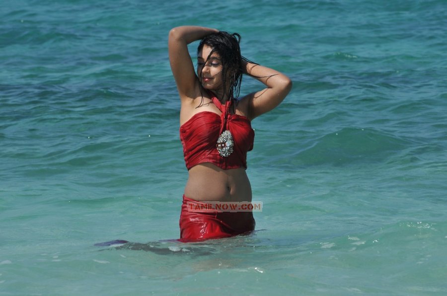 Tamil Actress Neeti Taylor 7460