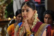 Tamil Actress Neeti Taylor 8443