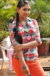 Tamil Actress Neeti Taylor Photos 2275