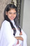 Tamil Actress Neeti Taylor Photos 9981