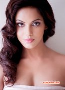 New Albums Neetu Chandra Tamil Actress 8659