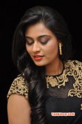 Dec 2015 Galleries Tamil Movie Actress Neha Hinge 4716