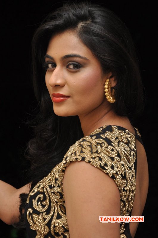 Neha Hinge Indian Actress Gallery 8227