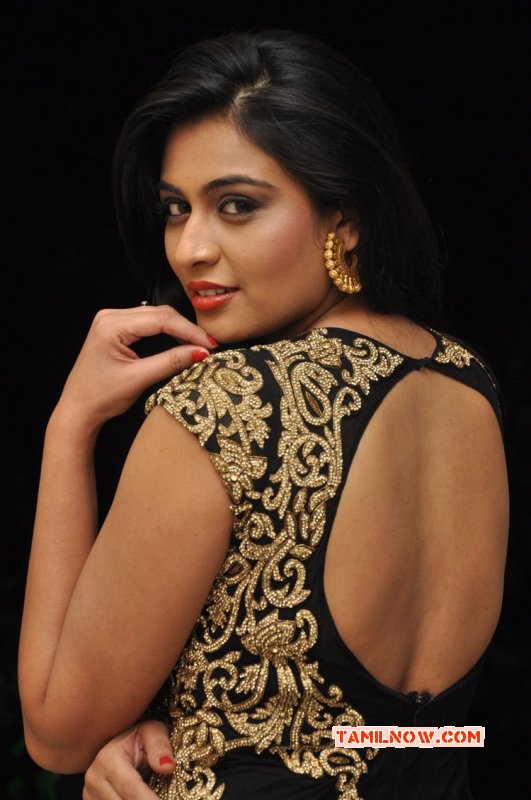 Neha Hinge South Actress Photo 3994