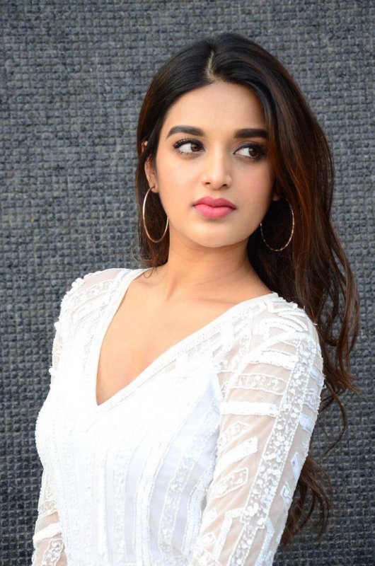 Indian Actress Nidhhi Agerwal Latest Still 2419