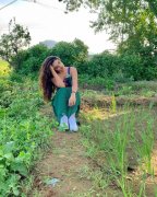 Nidhhi Agerwal Actress Recent Pictures 3250