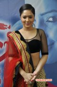 2014 Wallpapers Nikesha Patel South Actress 363