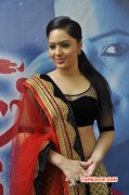 2014 Wallpapers Tamil Actress Nikesha Patel 9458