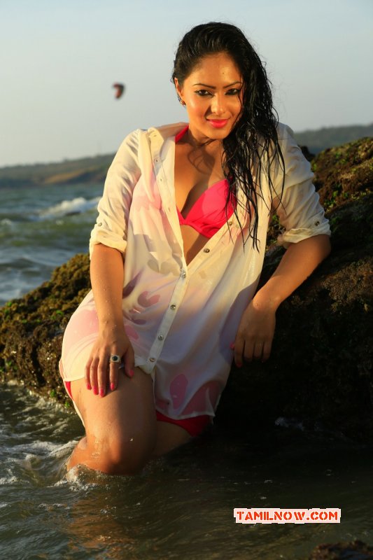 Movie Actress Nikesha Patel Jun 2015 Gallery 5086