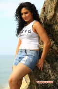 Nikesha Patel Hot Wallpaper 967