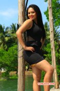 Nov 2015 Photo South Actress Nikesha Patel 8802