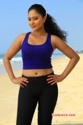 Recent Gallery Nikesha Patel Film Actress 4095