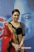 Recent Stills Tamil Movie Actress Nikesha Patel 3552