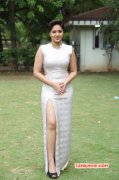 Tamil Actress Nikesha Patel Recent Image 1494