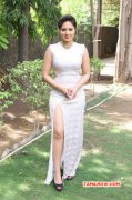Tamil Movie Actress Nikesha Patel New Pictures 5693
