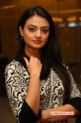 Latest Pic Indian Actress Nikitha Narayan 3997