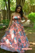 New Photos Tamil Actress Nikitha Narayan 416