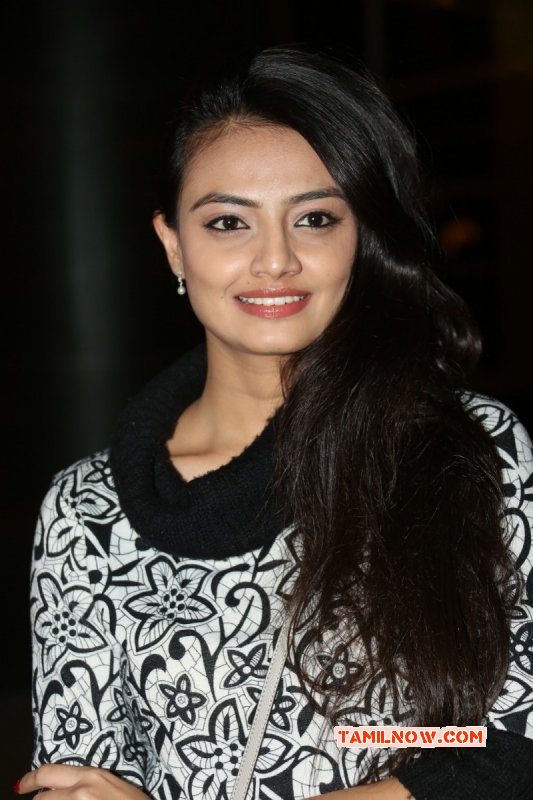 New Pics Nikitha Narayan Indian Actress 4167