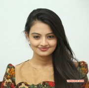 Nikitha Narayan Cinema Actress Latest Picture 9983