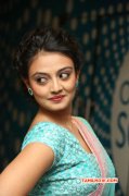 Nikitha Narayan Film Actress Dec 2014 Image 8084