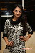 Nikitha Narayan Heroine Wallpapers 9217