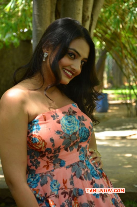 Nikitha Narayan Movie Actress Latest Pics 1014
