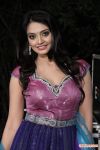 Nikitha Narayan Photos 1149
