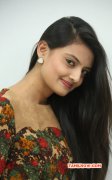 Recent Wallpapers Nikitha Narayan Tamil Heroine 2572