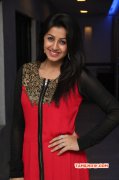 2015 Photo Nikki Galrani Film Actress 8139