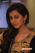 2015 Stills Nikki Galrani Cinema Actress 2592