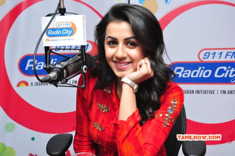 2016 Photo Nikki Galrani Indian Actress 6339