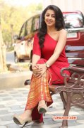 Cinema Actress Nikki Galrani Mar 2016 Pic 6506