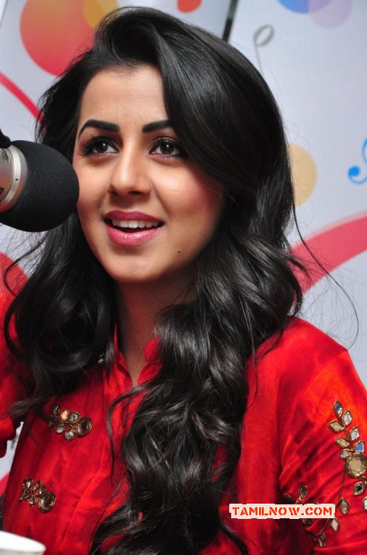 Feb 2016 Pictures Nikki Galrani Tamil Heroine 1257