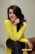 Heroine Nikki Galrani 2016 Pic 3561