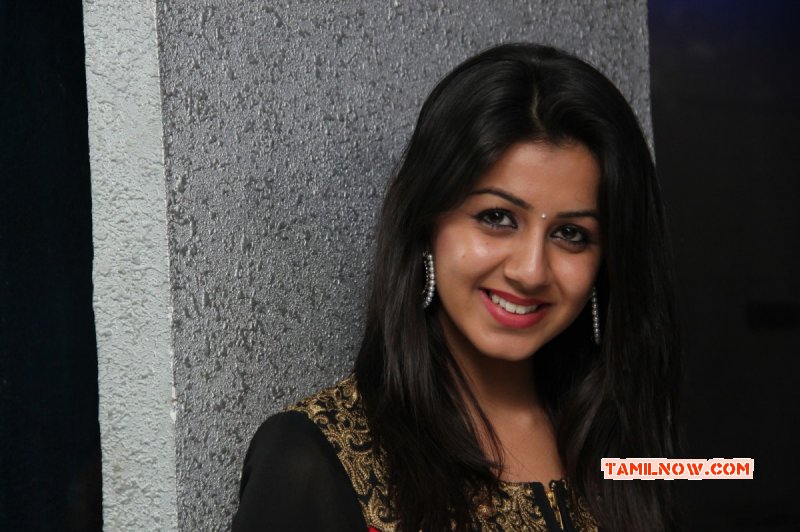 Indian Actress Nikki Galrani 2015 Wallpaper 5089