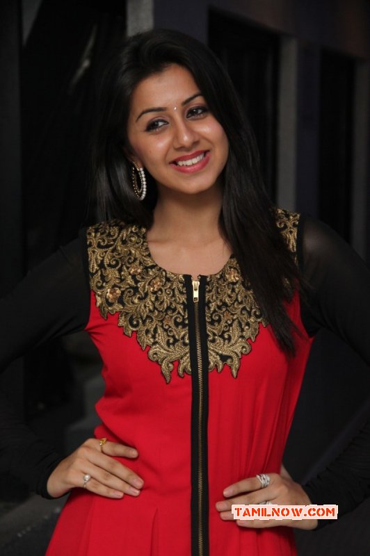 Jan 2015 Still Indian Actress Nikki Galrani 9765