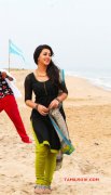 Jun 2016 Images Nikki Galrani Tamil Movie Actress 5911