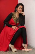 Latest Picture Cinema Actress Nikki Galrani 2455