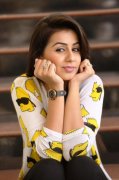 Latest Picture Cinema Actress Nikki Galrani 9864