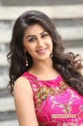 Mar 2016 Albums Nikki Galrani Movie Actress 1891