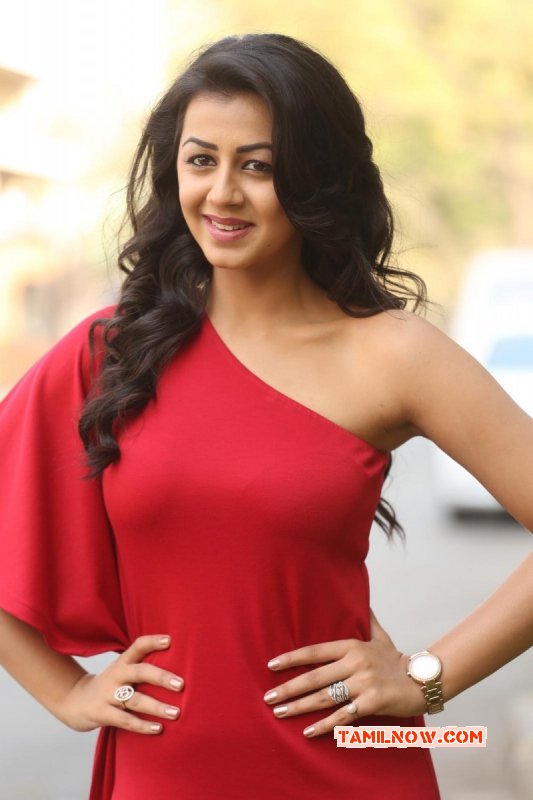 Mar 2016 Wallpapers Tamil Actress Nikki Galrani 5465