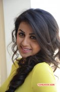 Movie Actress Nikki Galrani 2016 Photos 332