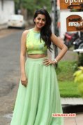 New Photos Tamil Movie Actress Nikki Galrani 2955