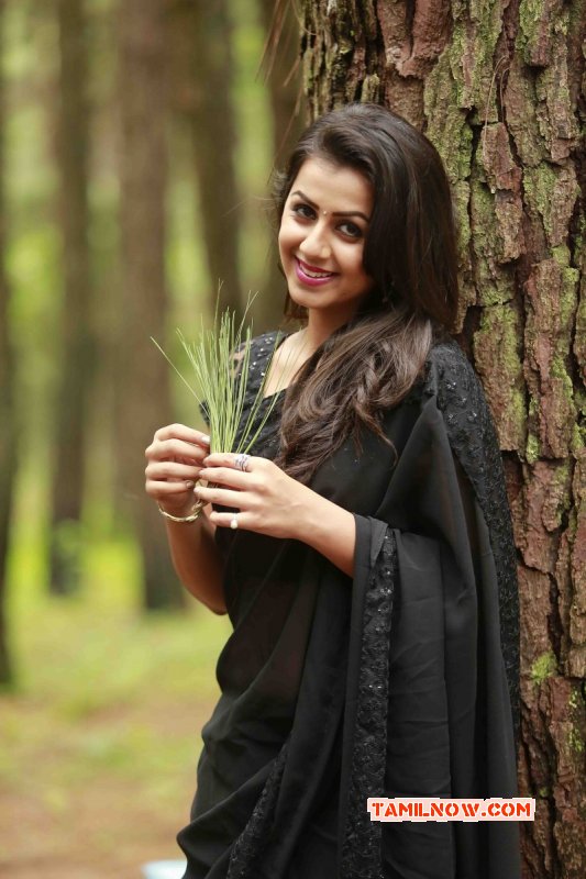 New Wallpaper Nikki Galrani Tamil Heroine 6976