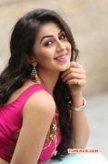 Nikki Galrani Film Actress New Pictures 802