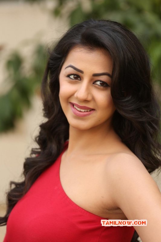 Nikki Galrani Film Actress Photos 7135