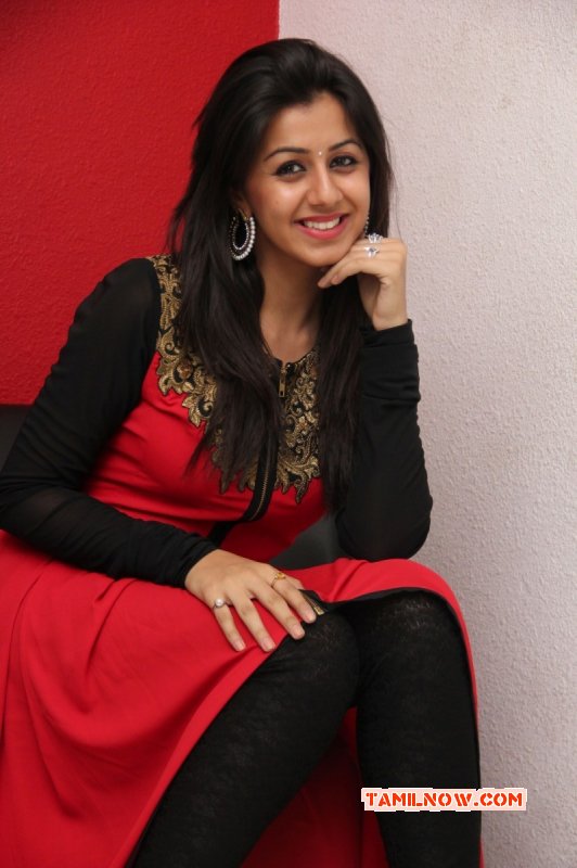 Nikki Galrani Heroine Jan 2015 Pictures 1227